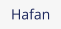 Hafan