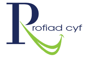 Profiad Cyf